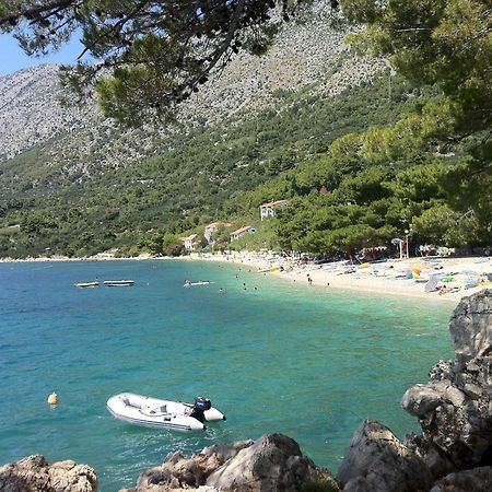 Apartments Vile Holiday Živogošće Eksteriør bilde