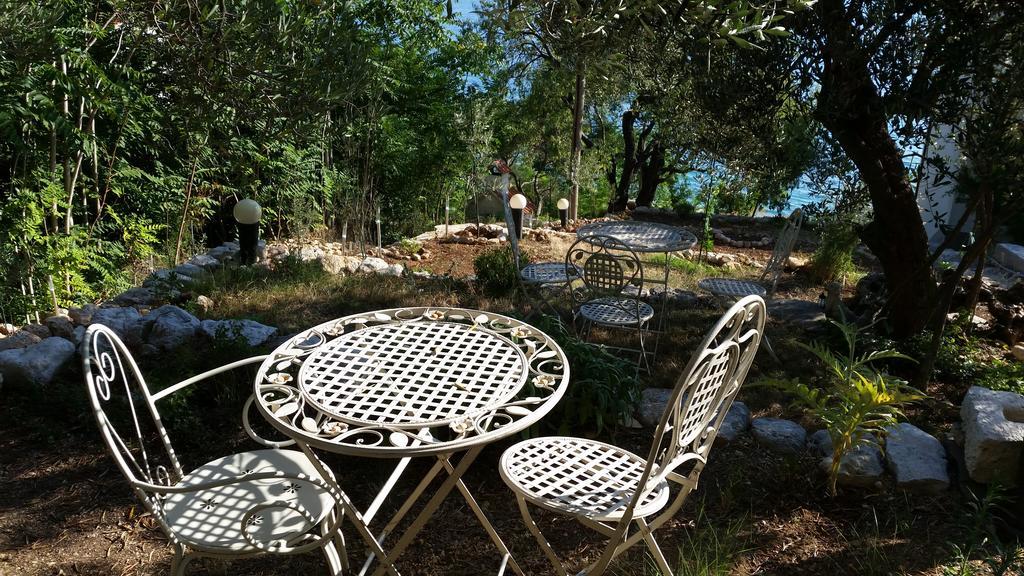 Apartments Vile Holiday Živogošće Rom bilde